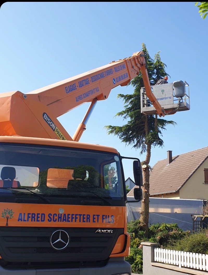 Abattage à l'aide d'une nacelle