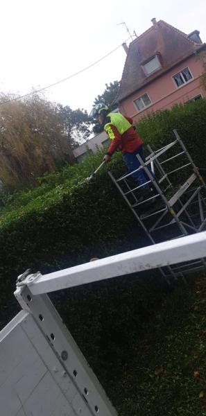 Taille de haies et débroussaillage